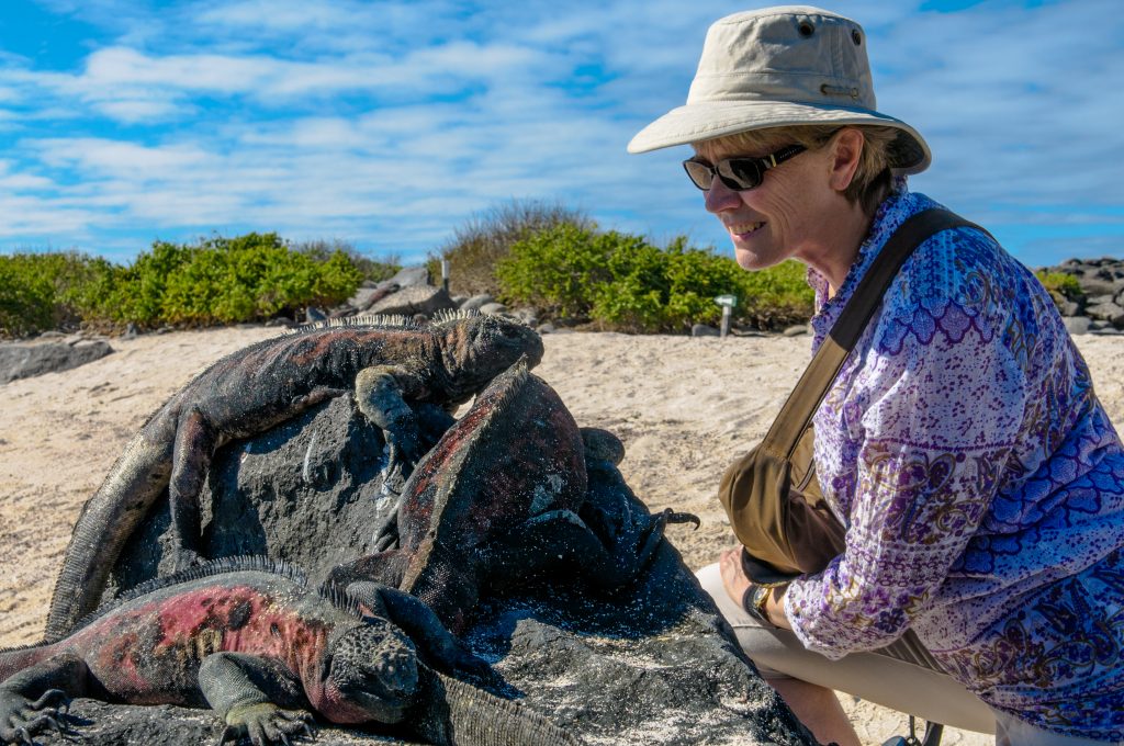 Galapagos - Santiago Island excursion - Marine Iguanas