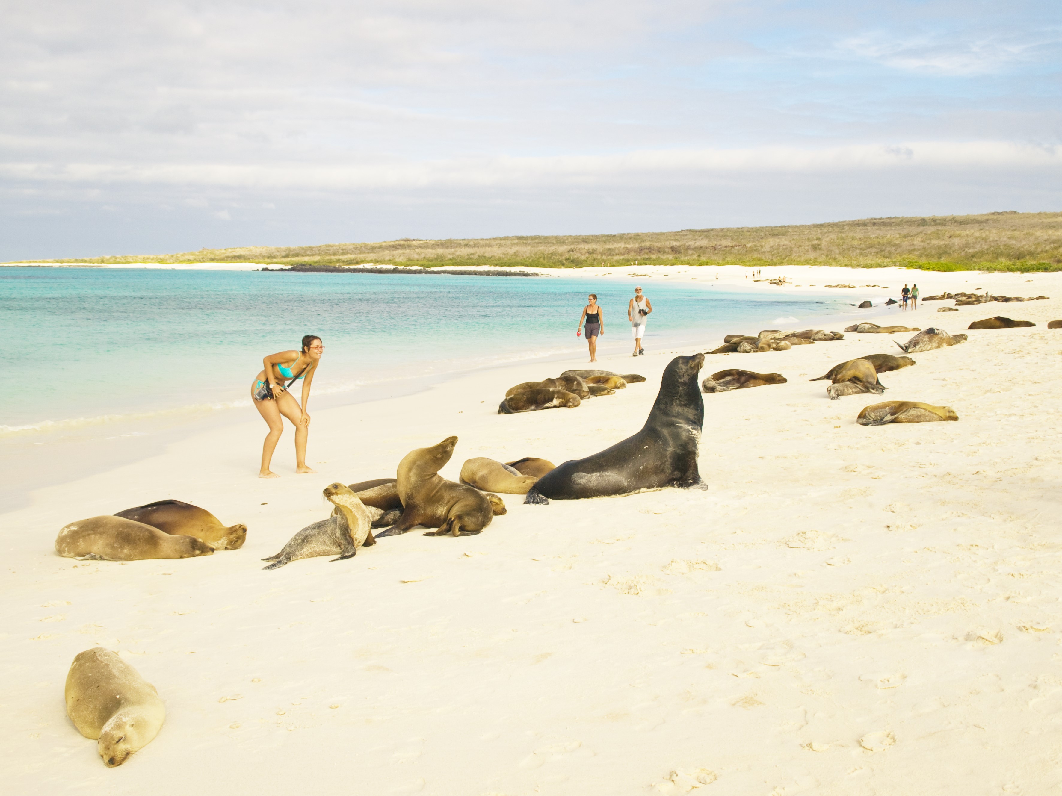 Beach | Galapagos Islands