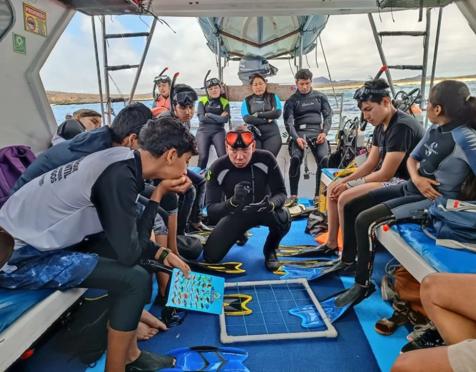 Students getting ready to dive at Punta Pitt