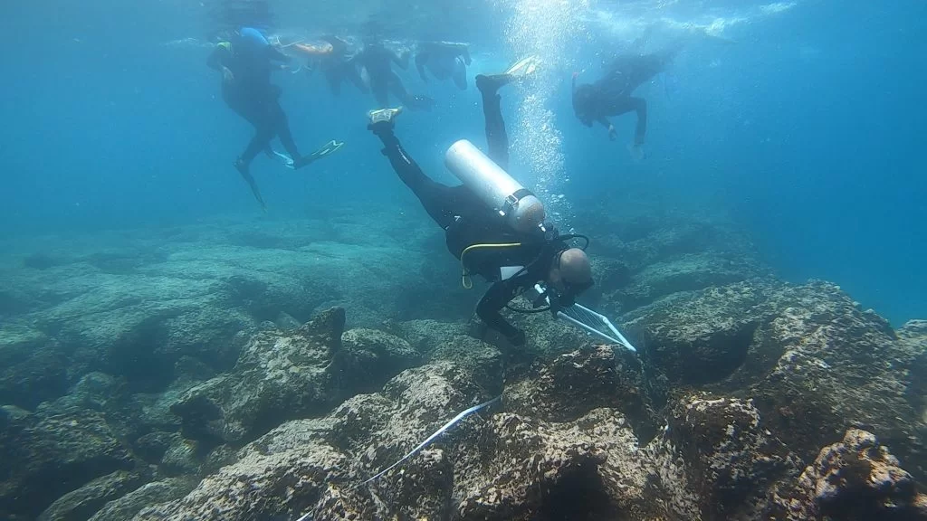 Students participating in coral monitoring program