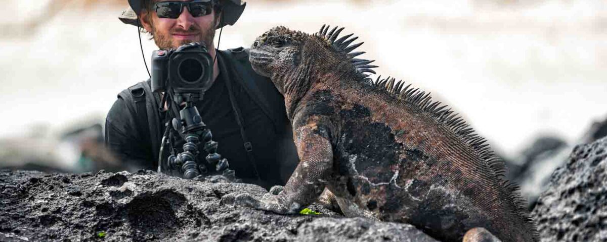Galapagos Iguana and tourist nature