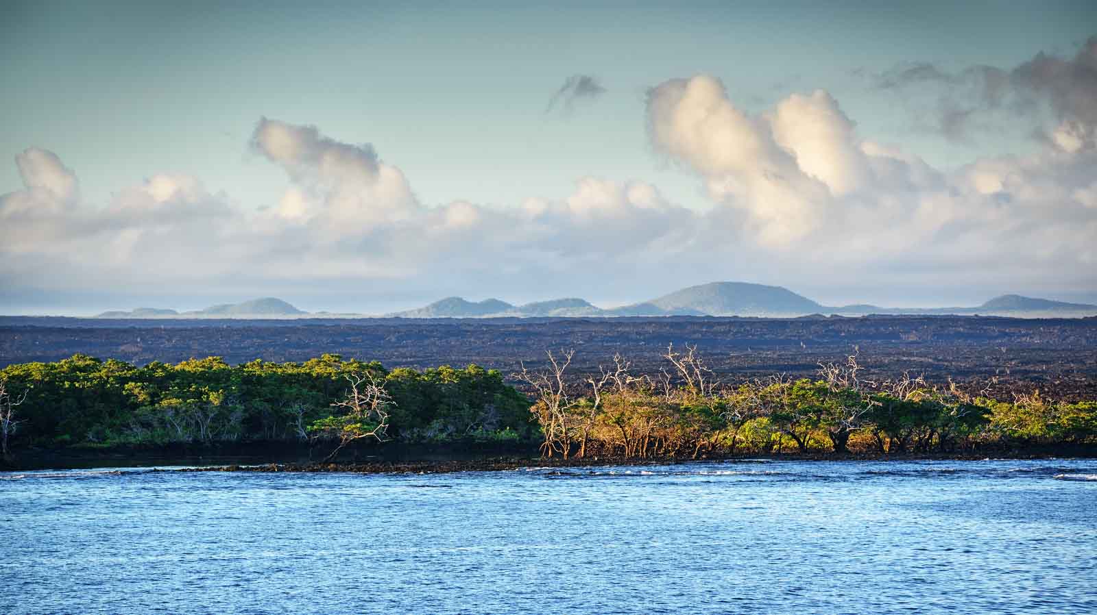 Isabela Island