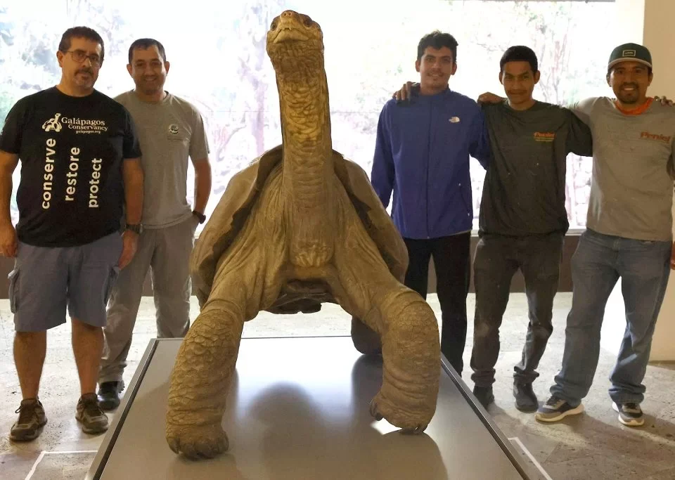 Re-opening of Lonesome George Exhibit