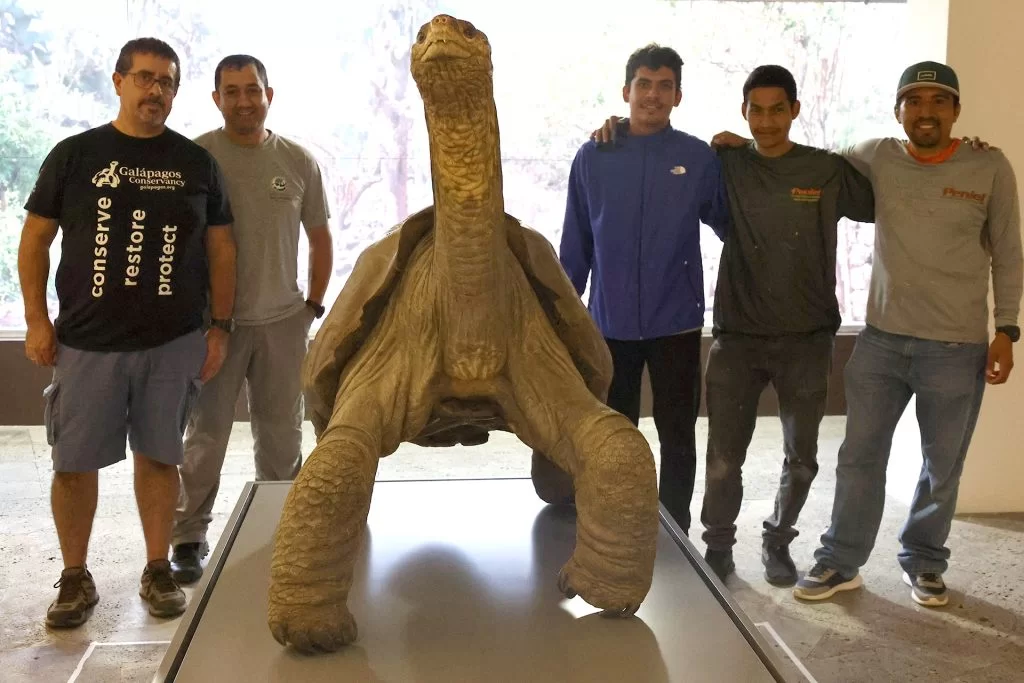 Re-opening of Lonesome George Exhibit
