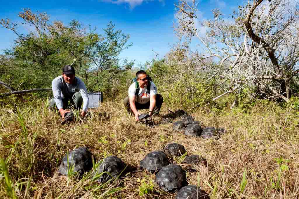 Espanolas Guardians Pioneering Conservation in the Galapagos Archipelago