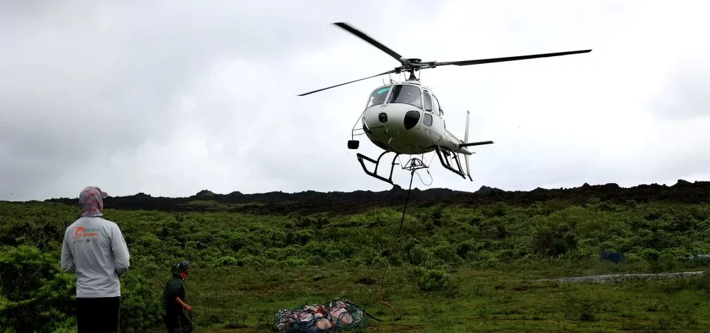 The safest and least impactful way to transfer the repatriated tortoises is by using a helicopter.