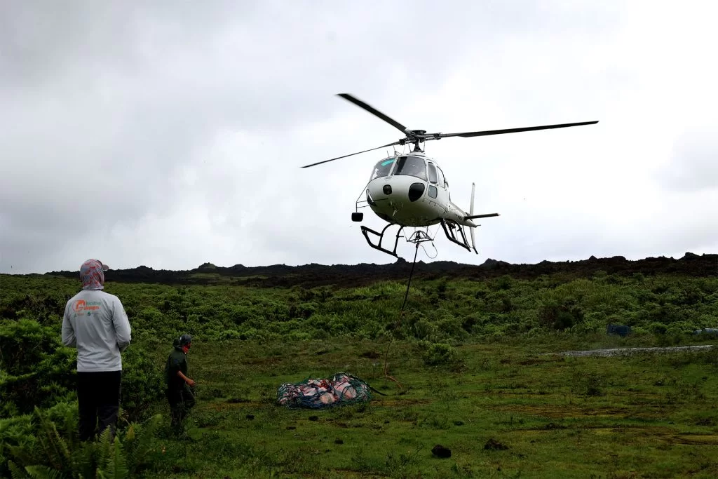 The safest and least impactful way to transfer the repatriated tortoises is by using a helicopter.