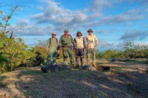 Park rangers David Carrión (left), Máximo Mendoza, Mario Albán, and our Conservation Director, Jorge Carrión, wrapping up a monitoring session in the Los Pegas tortoise population on Cerro Azul volcano.
