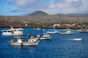 El Niño's marine effects challenge the Galápagos community, deeply rooted in fishing and tourism.