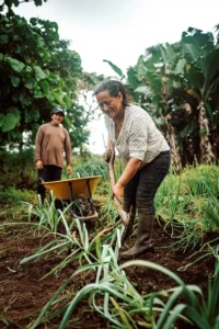 Noemí and her husband work together, using their knowledge of agriculture to lovingly plant and organically cultivate products.