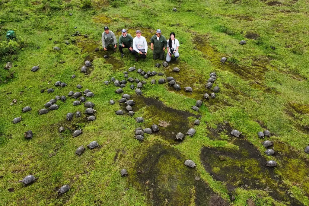 Passionate parkrangers and conservationists from Galápagos Conservancy participate in the release of juvenile giant tortoises during an exhilarating conservation effort as part of the Galápagos Initiative program. 