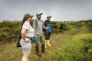 In collaboration with the Galápagos National Park Directorate, our researcher Doménica Pineda explores the natural habitat of petrels while searching for nests in the Media Luna area, Santa Cruz Island.