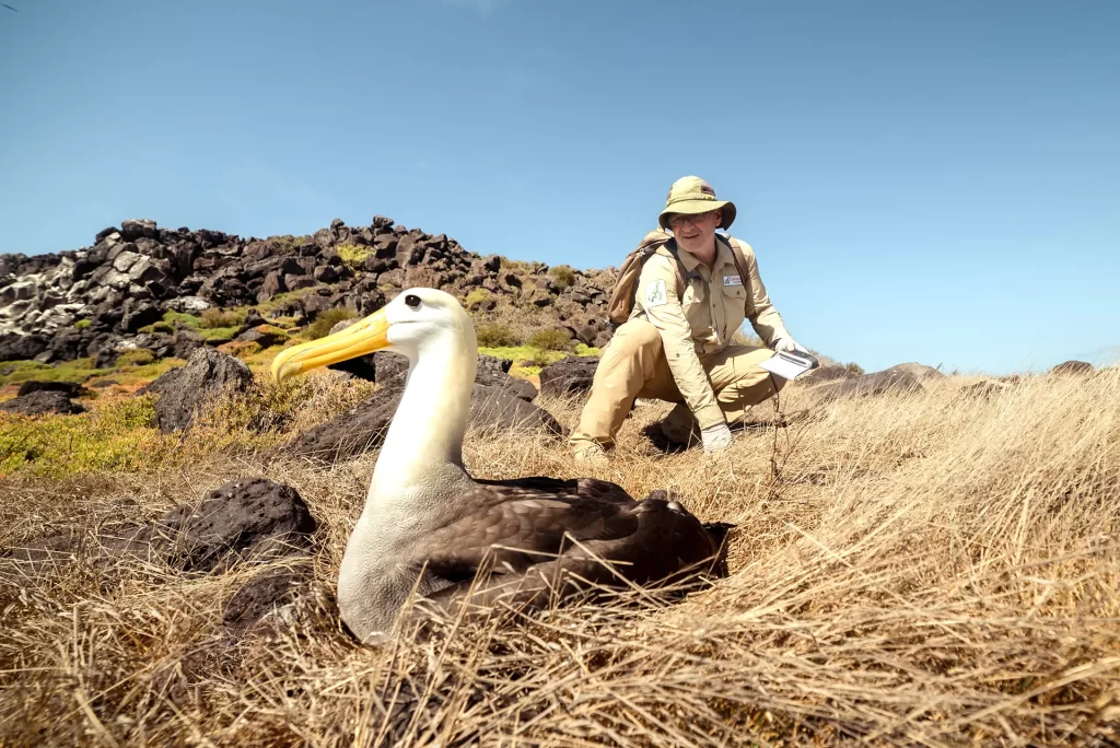 Dr. James Gibbs, our esteemed president, engages in albatross monitoring, a critical conservation activity. 