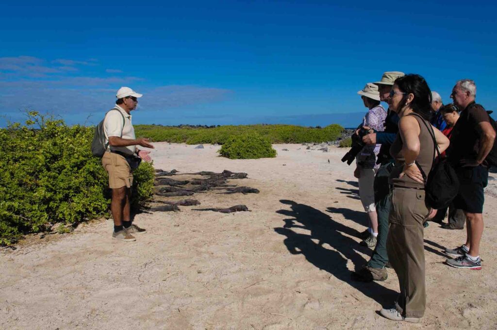 Galapagos Naturalist Guide