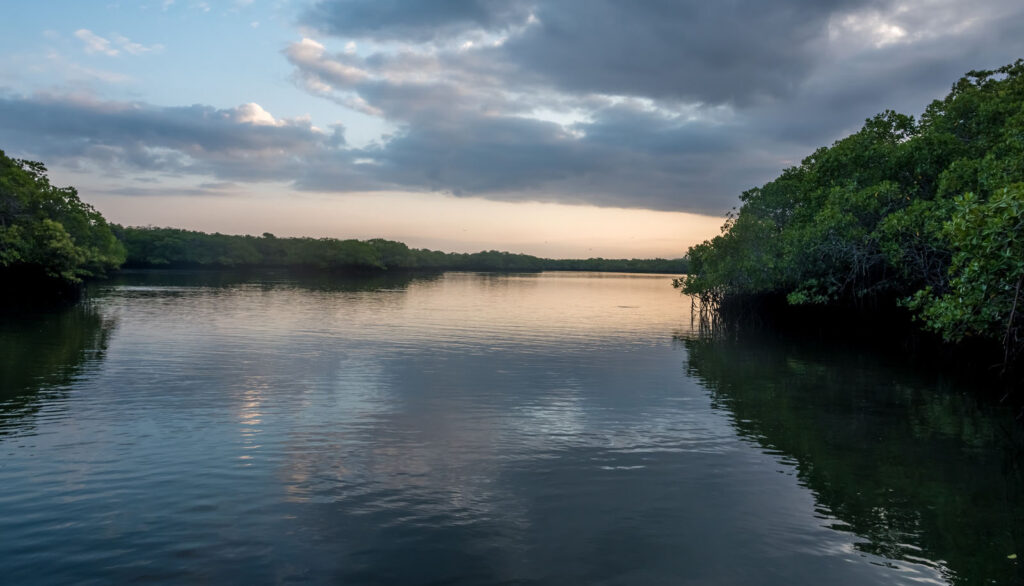 Black Turtle Cove