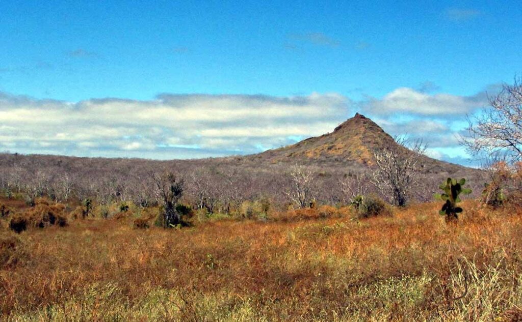 Cerro Dragón