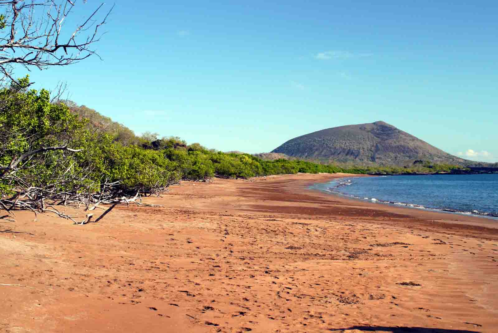 Espumilla Beach, Galapagos