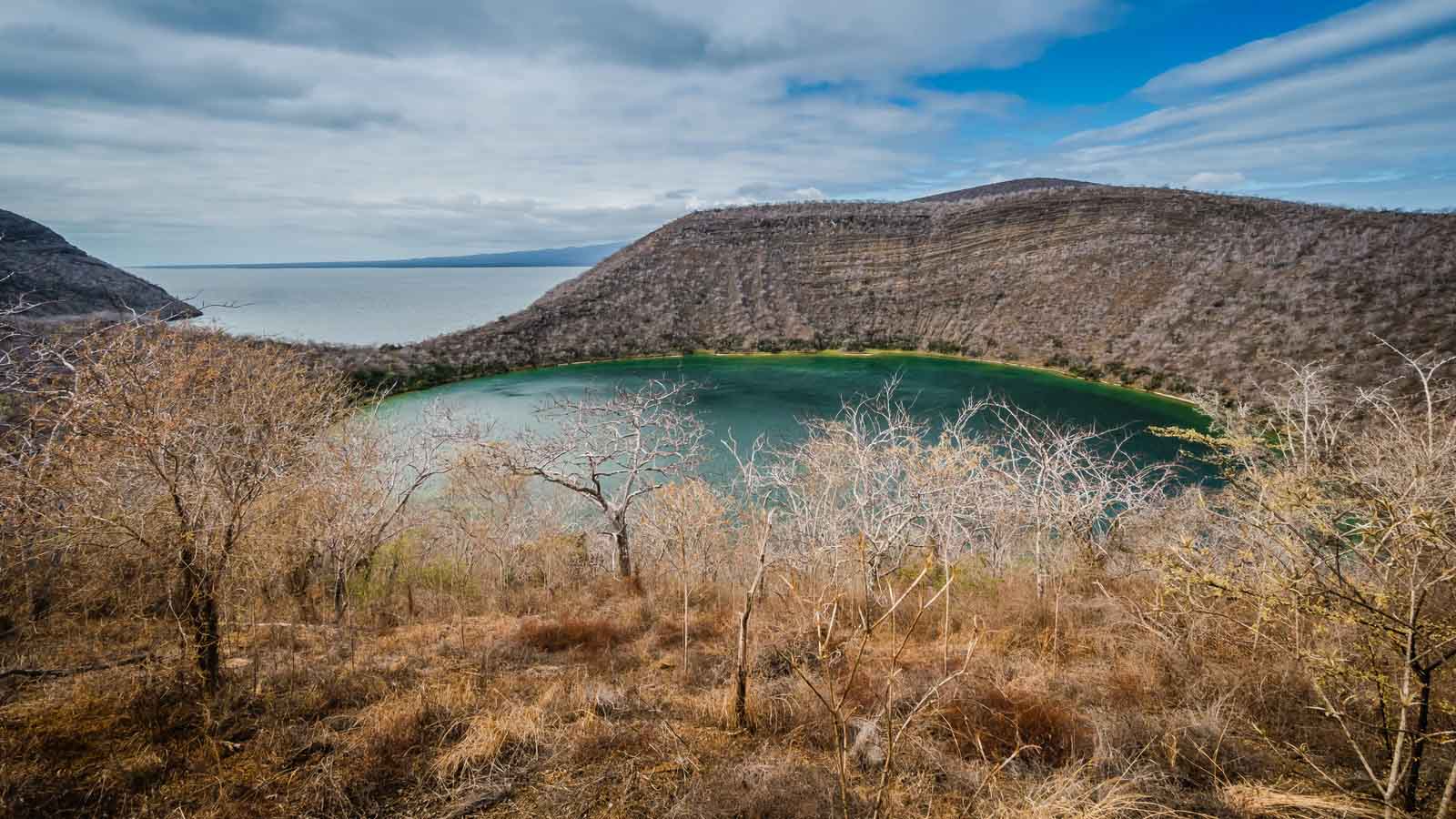 Tagus Cove, Isabela Island