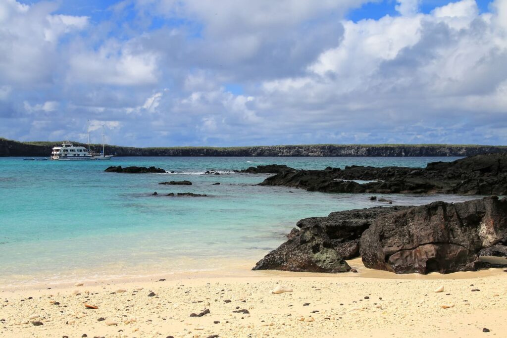Darwin Bay Beach