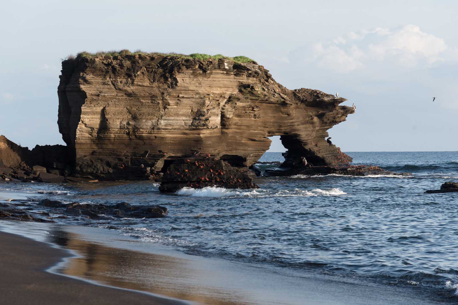 Puerto Egas (Egas Port) on Santiago Island, Galapagos Island, Ecuador, South America.