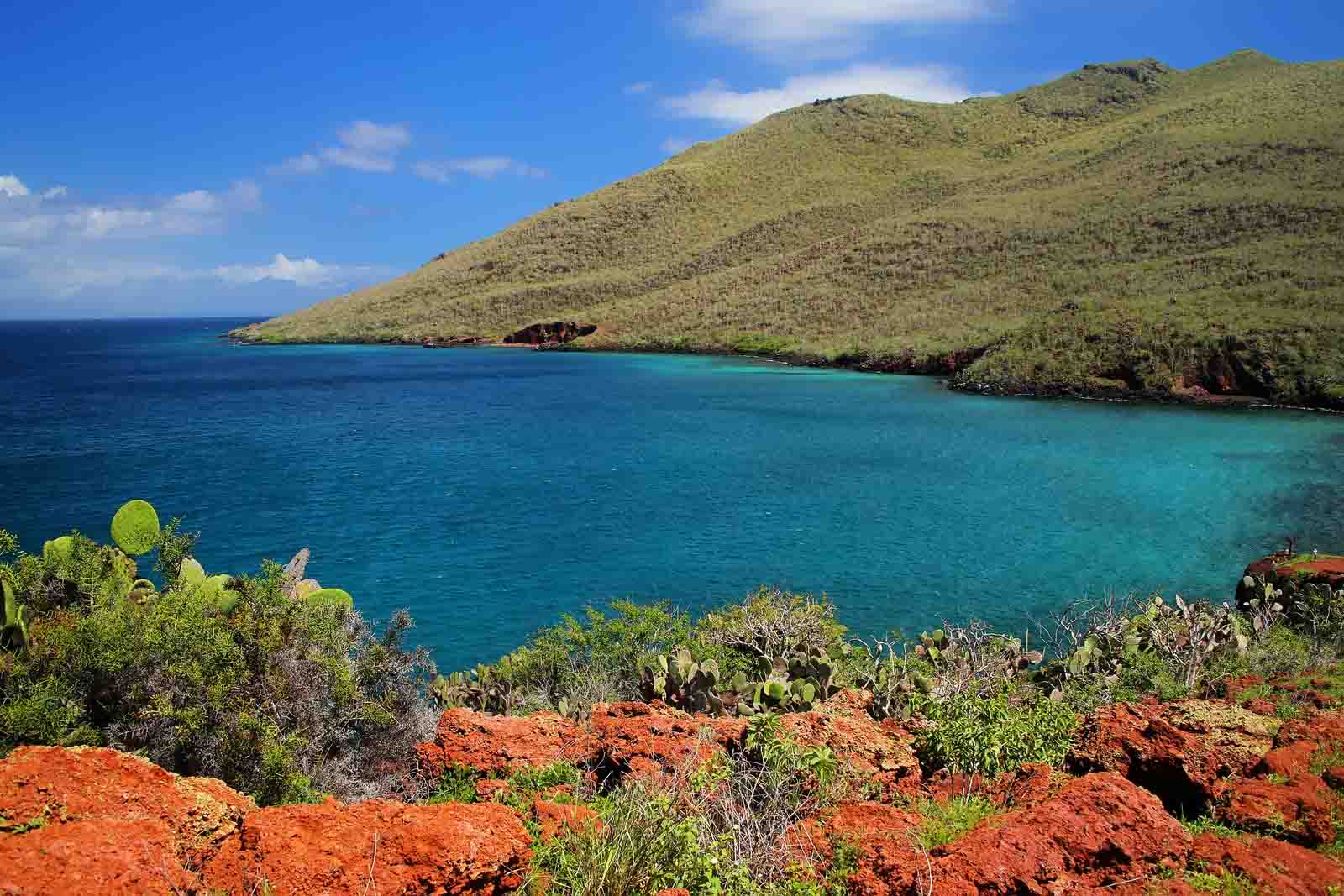 Rabida Island, Galapagos National Park, Ecuador