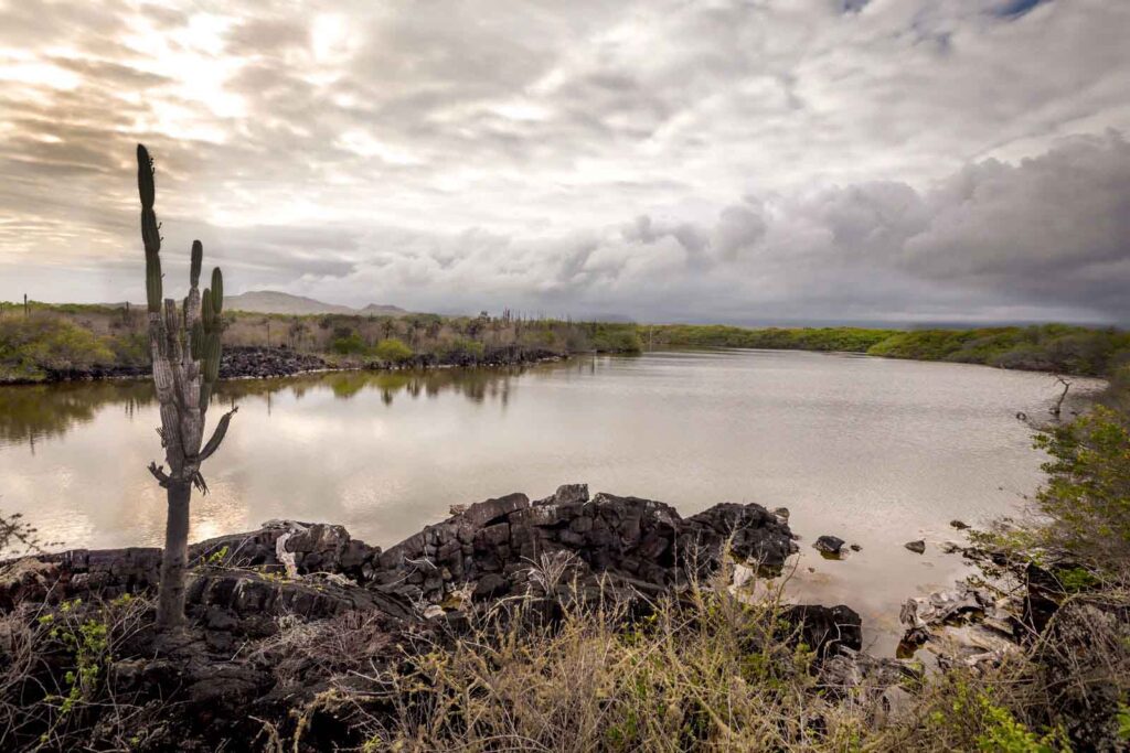 The Wetlands and Flamingo Lagoon