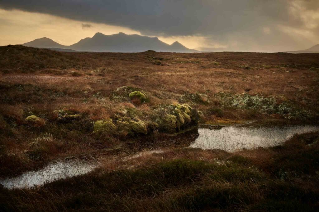 Flow Country, Scotland