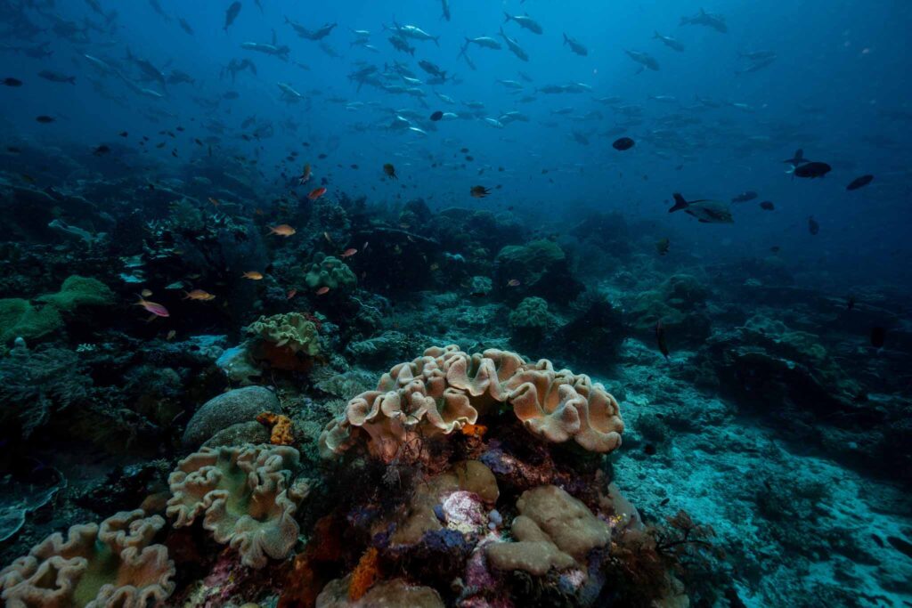 Raja Ampat, Indonesia