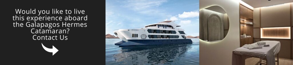 Visit Galapagos aboard the Hermes Catamaran