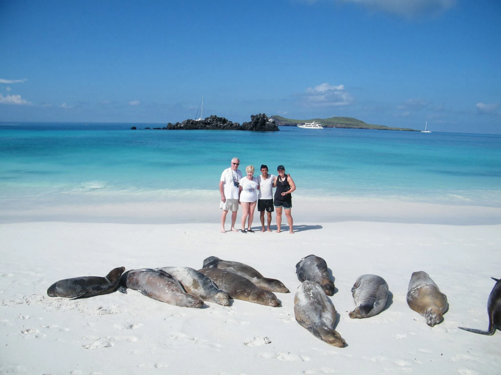 seals-with-turists