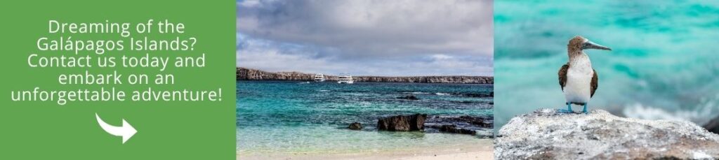 Come to Galapagos with us