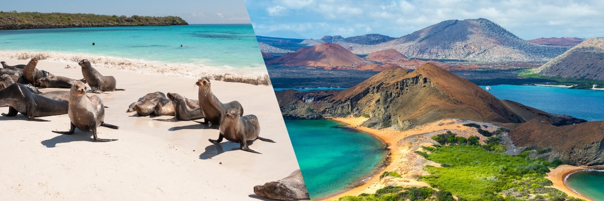 Sustainable-Tourism-in-Latin-Americaislasgalapagos