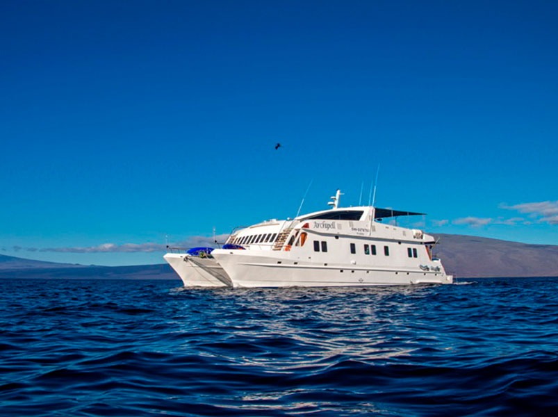 Archipel | Galapagos Cruise