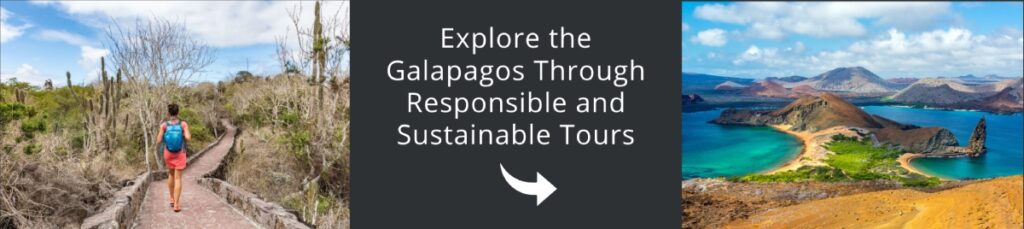 ecuador-sustainable-air-news-banner-contact