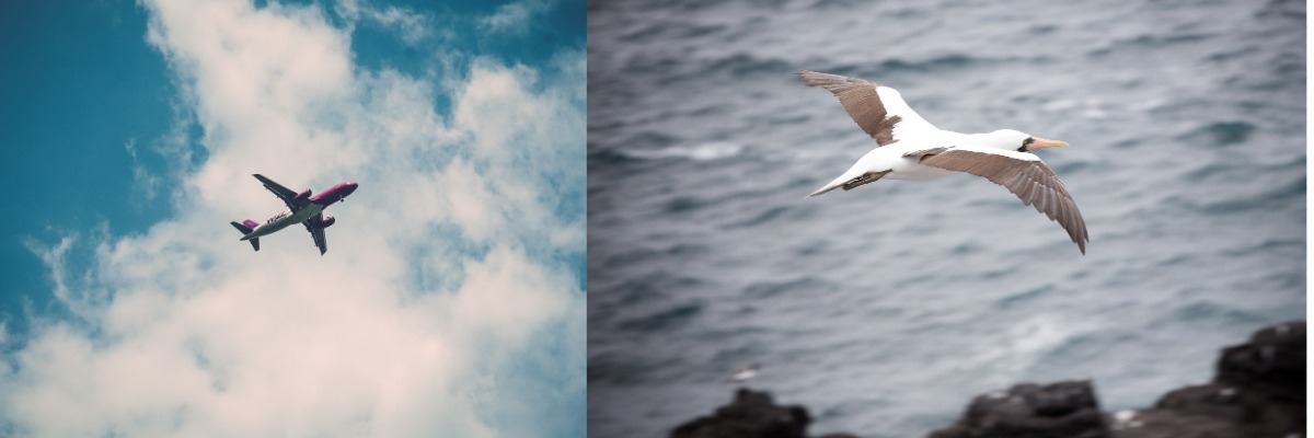 ecuador-sustainable-air-news