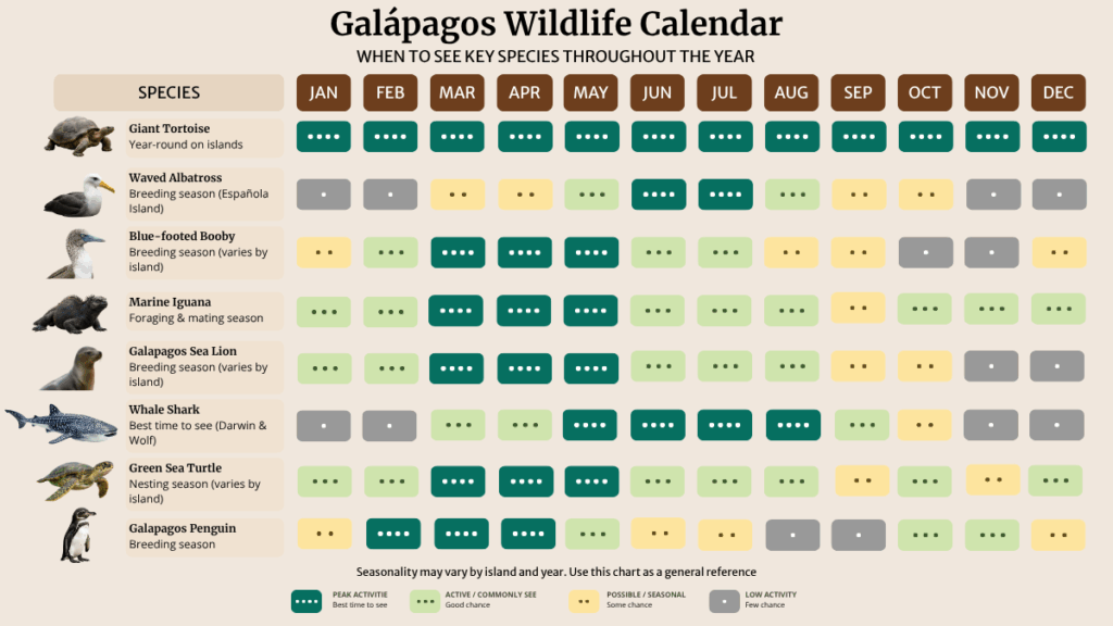 Infografic-page-wildlife