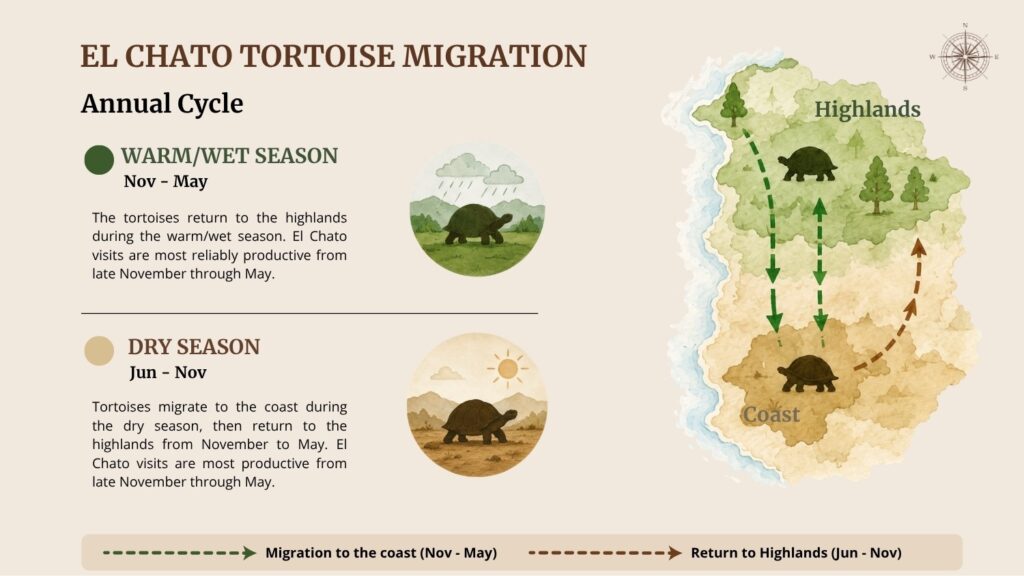 El Chato Tortoise Migration Map